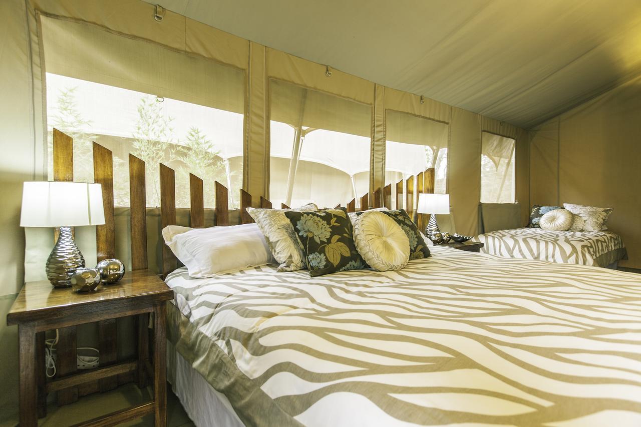 Wildebeest Eco Camp Hotel Nairobi Room photo